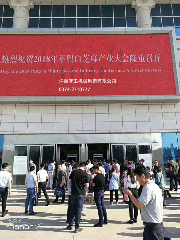 平輿白芝麻大會(huì)場(chǎng)外