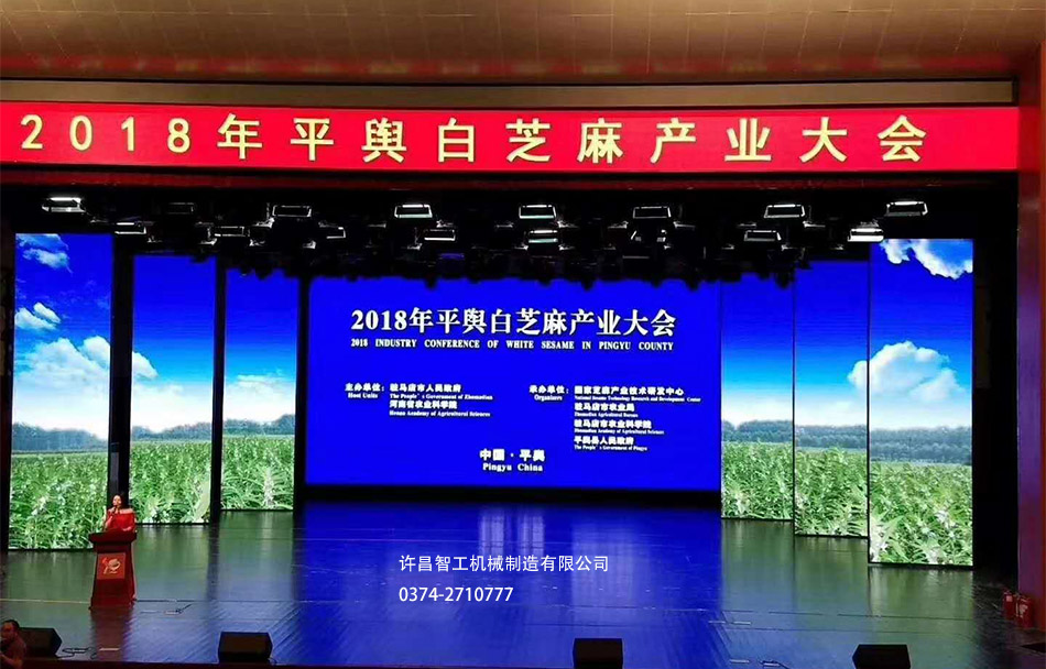 平輿芝麻大會(huì)開(kāi)幕盛典