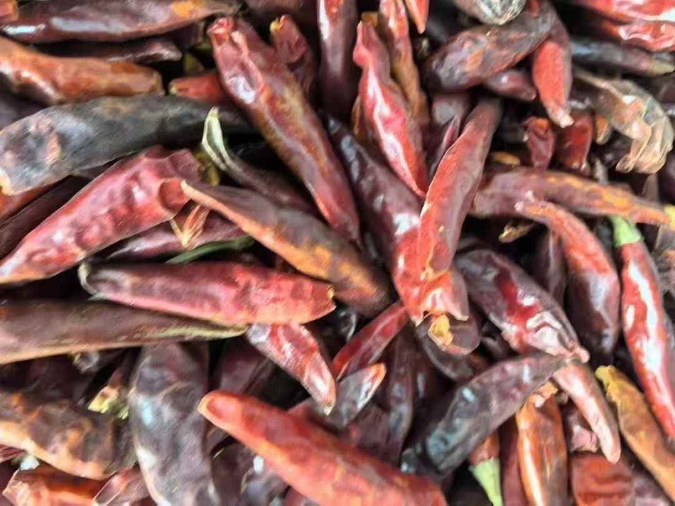 許昌智工電磁炒貨設備